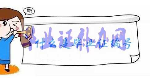 高中畢業證編號填寫格式及方法解析！